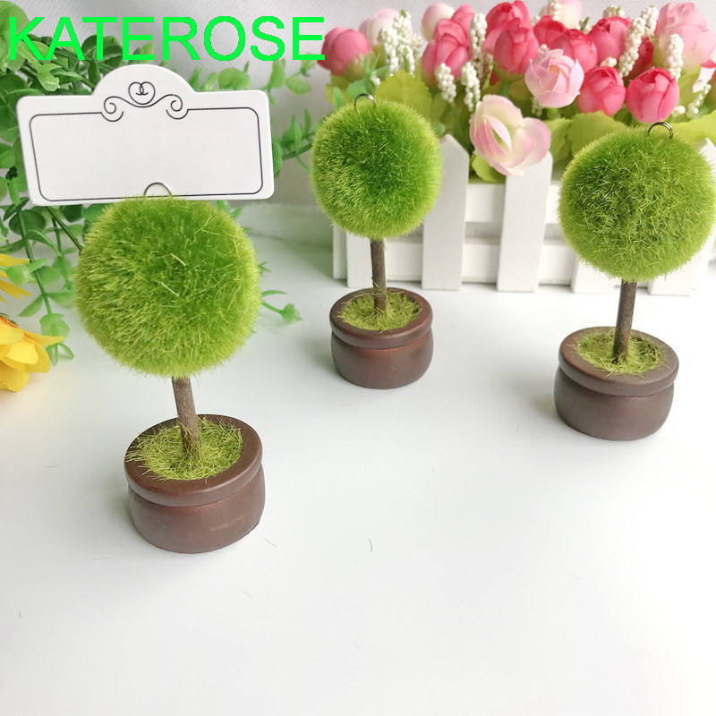 12PCS  Spring Wedding Favors T - Graded Card Display avaliação e preço