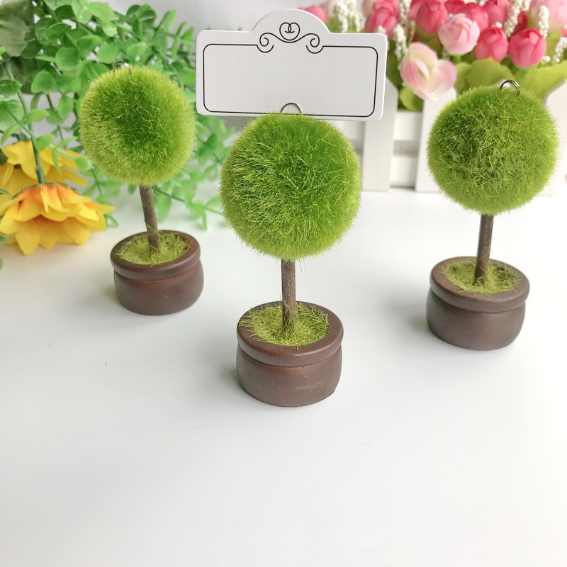12PCS  Spring Wedding Favors T - Graded Card Display avaliação e preço