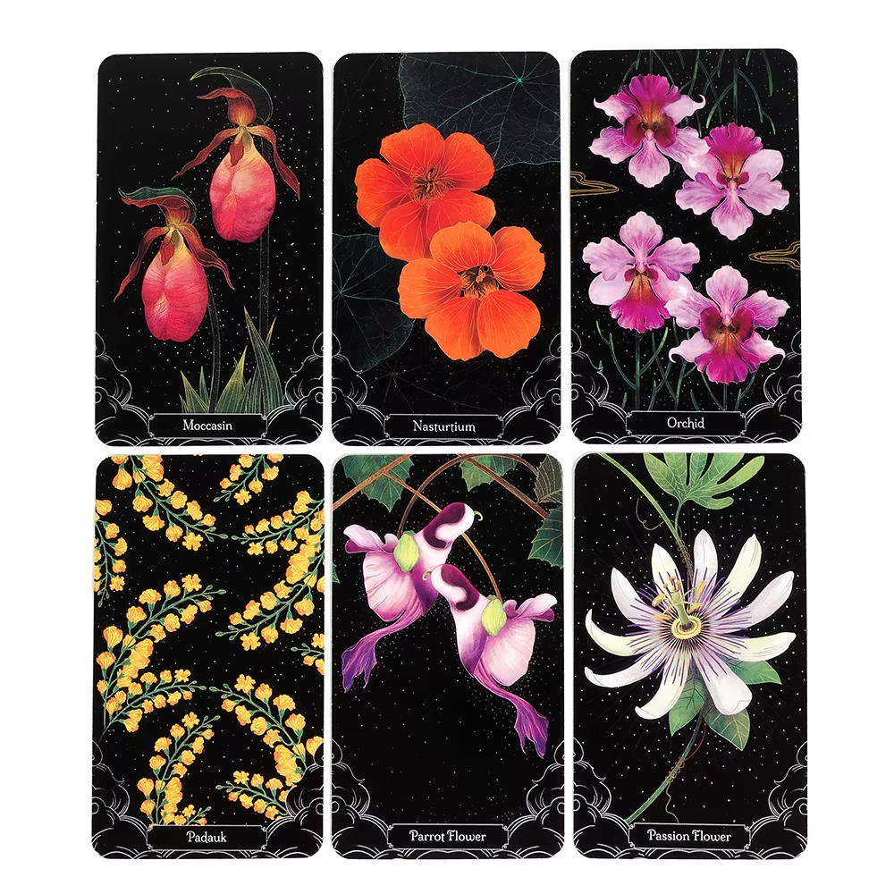 A Little Rain Botanical Oracle - Graded Card Display avaliação e preço